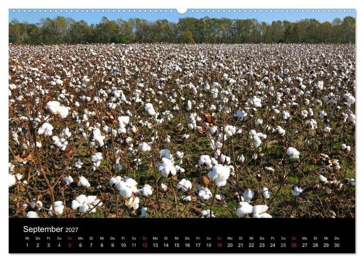 Produktbild: S&uuml;dosten der USA (hochwertiger Premium Wandkalender 2027 DIN A2 quer), Kunstdruck in Hochglanz