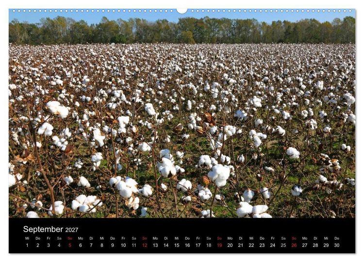 Produktbild: S&uuml;dosten der USA (Wandkalender 2027 DIN A2 quer), CALVENDO Monatskalender