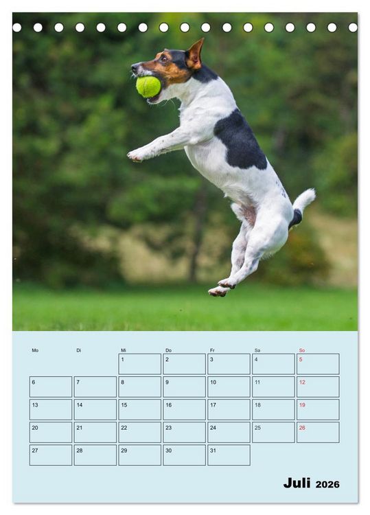 Produktbild: Familienplaner Jack und Parson Russell Terrier (Tischkalender 2026 DIN A5 hoch), CALVENDO Monatskalender
