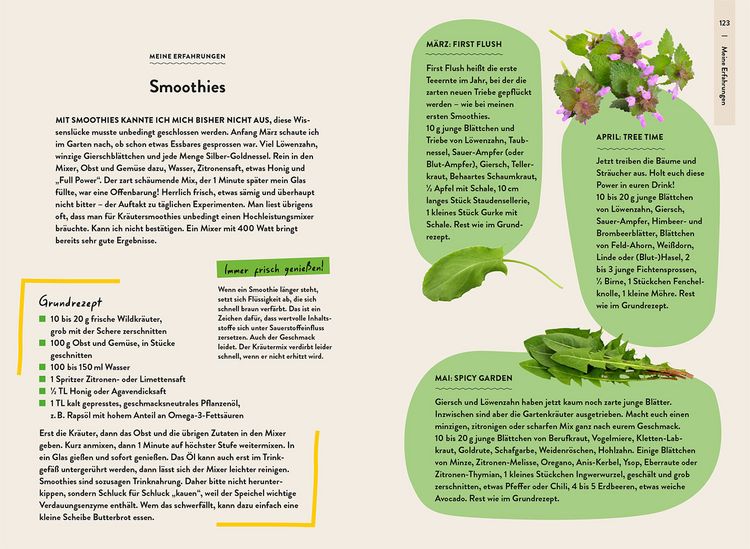 Produktbild: Garden Guide Wildkrautampel