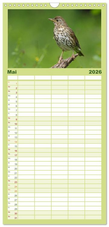 Produktbild: Familienplaner 2026 - V&ouml;gel mit 5 Spalten (Wandkalender, 21 x 45 cm) CALVENDO