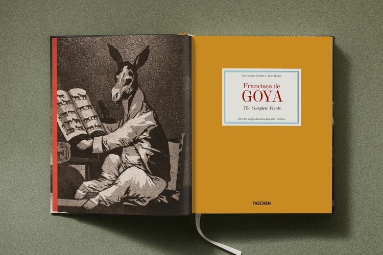 Produktbild: Goya