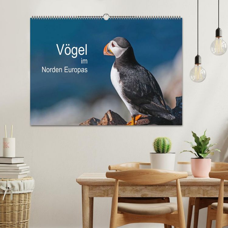 Produktbild: V&ouml;gel im Norden Europas (Wandkalender 2026 DIN A2 quer), CALVENDO Monatskalender