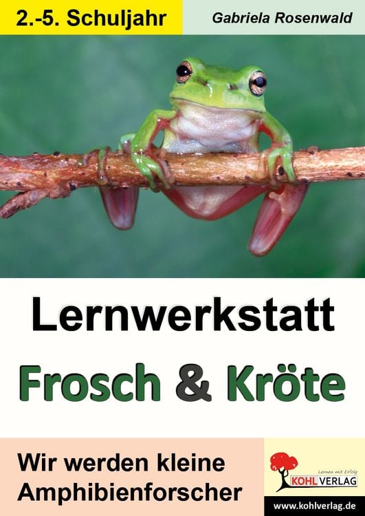 Produktbild: Lernwerkstatt Frosch und Kr&ouml;te