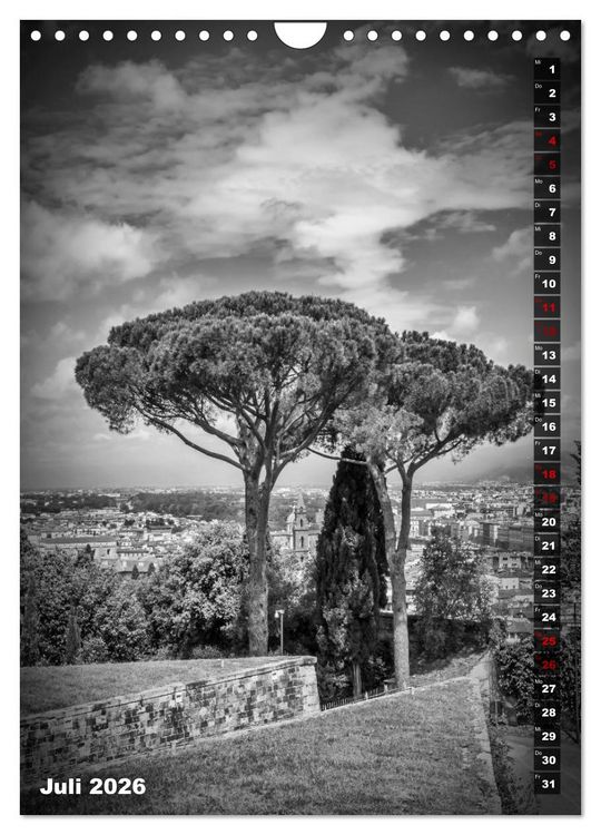 Produktbild: FLORENZ SCHWARZWEI&szlig; (Wandkalender 2026 DIN A4 hoch), CALVENDO Monatskalender