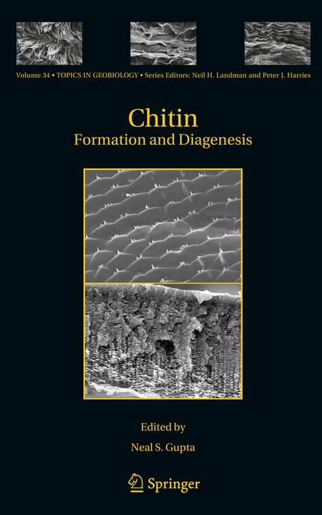 Produktbild: Chitin