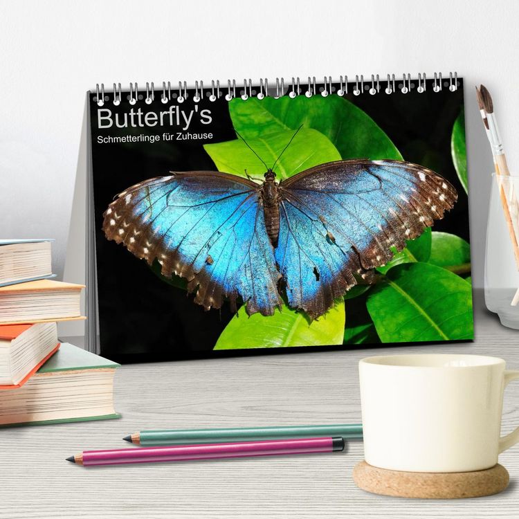 Produktbild: Butterfly's - Schmetterlinge f&uuml;r Zuhause (Tischkalender 2026 DIN A5 quer), CALVENDO Monatskalender