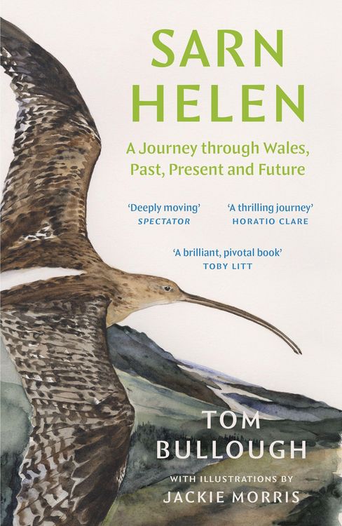 Produktbild: Sarn Helen