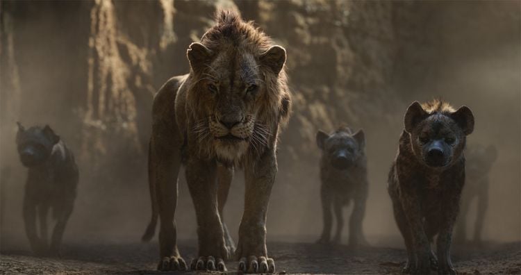 Produktbild: Der K&ouml;nig der L&ouml;wen