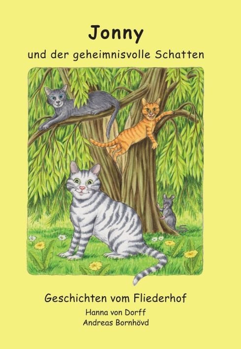 Produktbild: Jonny und der geheimnisvolle Schatten