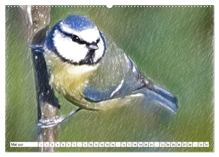 Produktbild: Schottlands Vogelwelt - Ein Portr&auml;t in Zeichnungen (Wandkalender 2027 DIN A2 quer), CALVENDO Monatskalender