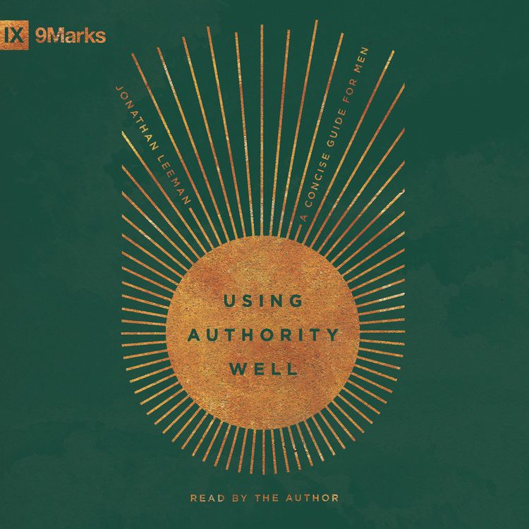 Produktbild: Using Authority Well