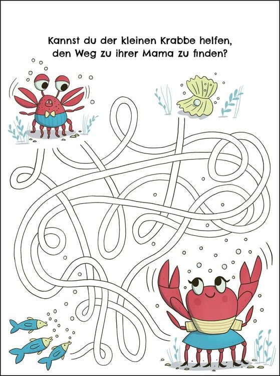Produktbild: In 40 R&auml;tseln sind wir da! &ndash; Ab an die K&uuml;ste!