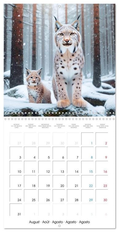Produktbild: Animals of Arctic (Wall Calendar 2026 12 &times; 12 Inch) CALVENDO 12 Month Wall Calendar