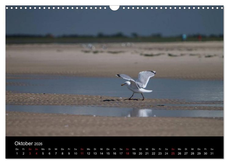 Produktbild: Amrumer Impressionen (Wandkalender 2026 DIN A3 quer), CALVENDO Monatskalender