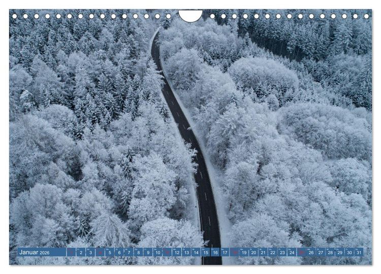 Produktbild: B&auml;ume sind Tr&auml;ume (Wandkalender 2026 DIN A4 quer), CALVENDO Monatskalender