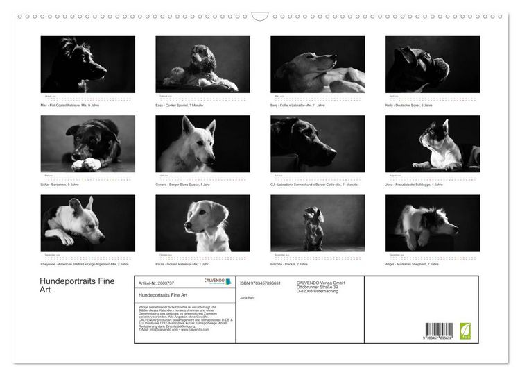 Produktbild: Hundeportraits Fine Art (Wandkalender 2026 DIN A2 quer), CALVENDO Monatskalender