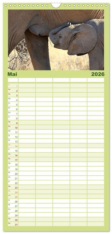 Produktbild: Familienplaner 2026 - Afrika - im Reich der Elefanten mit 5 Spalten (Wandkalender, 21 x 45 cm) CALVENDO