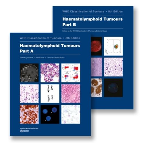 Produktbild: Haematolymphoid Tumours