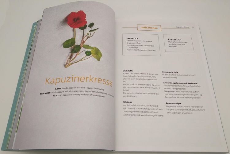 Produktbild: 10 Kr&auml;uter gegen 100 Krankheiten