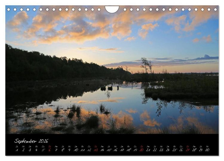 Produktbild: Im Goldenstedter Moor (Wandkalender 2026 DIN A4 quer), CALVENDO Monatskalender