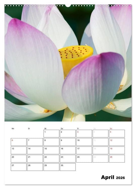 Produktbild: MEDITATION - Wellness f&uuml;r die Seele (hochwertiger Premium Wandkalender 2026 DIN A2 hoch), Kunstdruck in Hochglanz