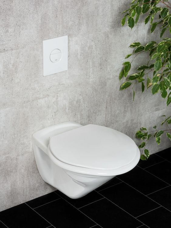 Produktbild: WC-Sitz Mod. Torino XXL, aus antibakteriellem Duroplast, belastbar bis 300 kg