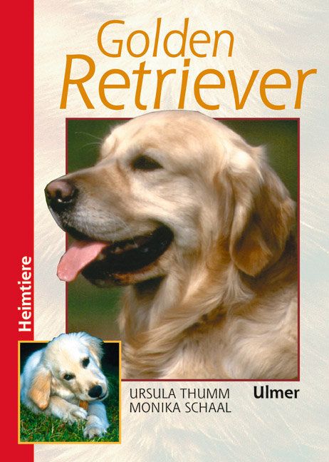 Produktbild: Golden Retriever