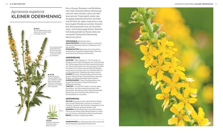 Produktbild: Das neue Praxisbuch Heilpflanzen