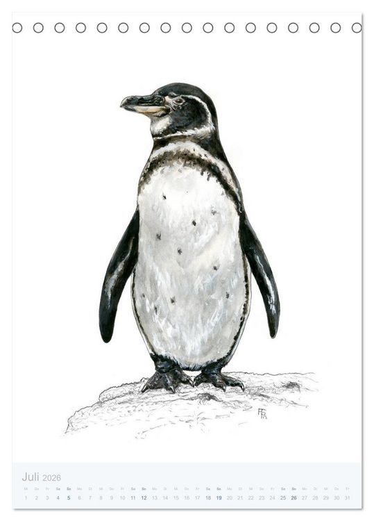 Produktbild: Pinguine - 13 Illustrationen (Tischkalender 2026 DIN A5 hoch), CALVENDO Monatskalender