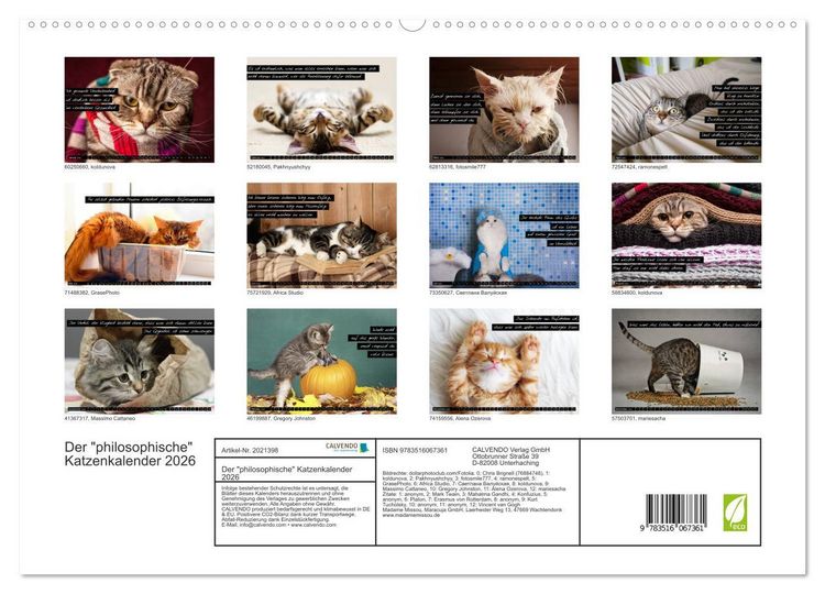 Produktbild: Der "philosophische" Katzenkalender 2026 (hochwertiger Premium Wandkalender 2026 DIN A2 quer), Kunstdruck in Hochglanz