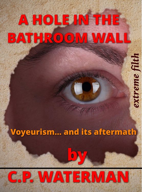 Produktbild: A Hole in the Bathroom Wall