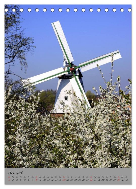 Produktbild: Windm&uuml;hlen in Norddeutschland (Tischkalender 2026 DIN A5 hoch), CALVENDO Monatskalender