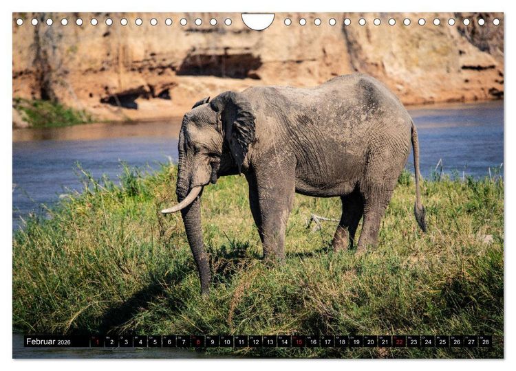 Produktbild: Sambia "Das wirkliche Afrika" (Wandkalender 2026 DIN A4 quer), CALVENDO Monatskalender