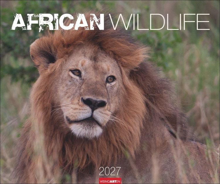 Produktbild: African Wildlife Kalender 2027