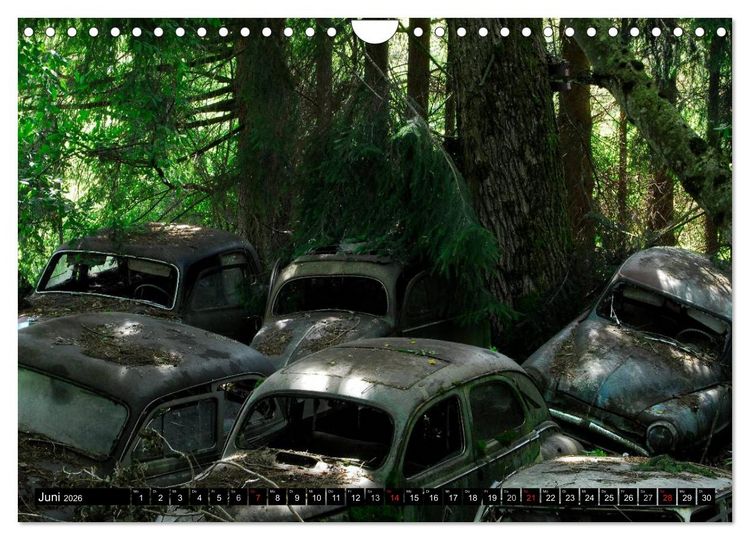 Produktbild: Autowracks - rostende Liebe (Wandkalender 2026 DIN A4 quer), CALVENDO Monatskalender