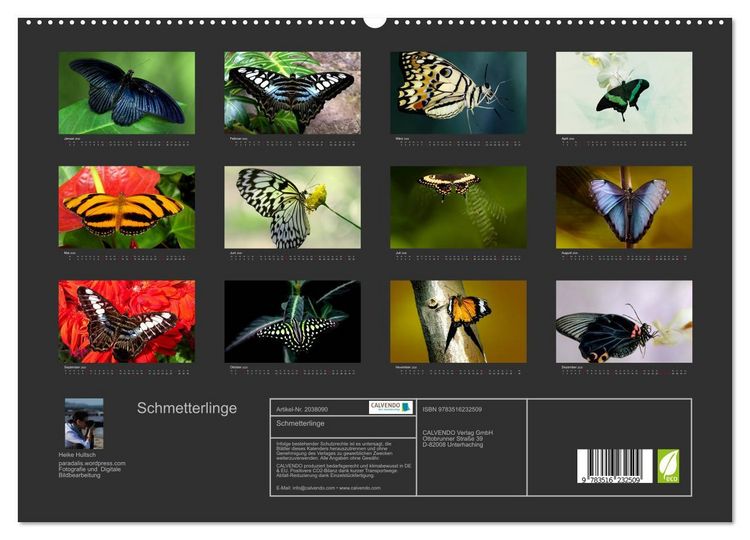 Produktbild: Schmetterlinge (hochwertiger Premium Wandkalender 2026 DIN A2 quer), Kunstdruck in Hochglanz
