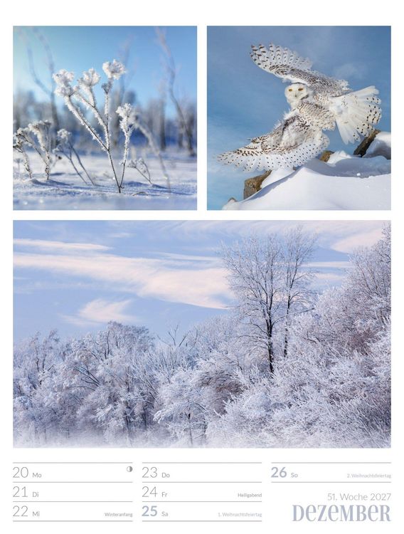 Produktbild: Farben der Natur Wochenplaner Kalender 2027