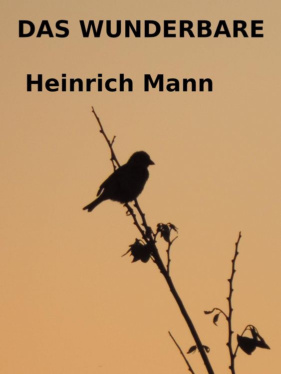 Produktbild: Das Wunderbare