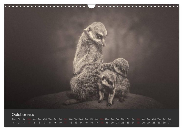Produktbild: African Souls African animals with soul (Wall Calendar 2026 DIN A3 landscape), CALVENDO 12 Month Wall Calendar