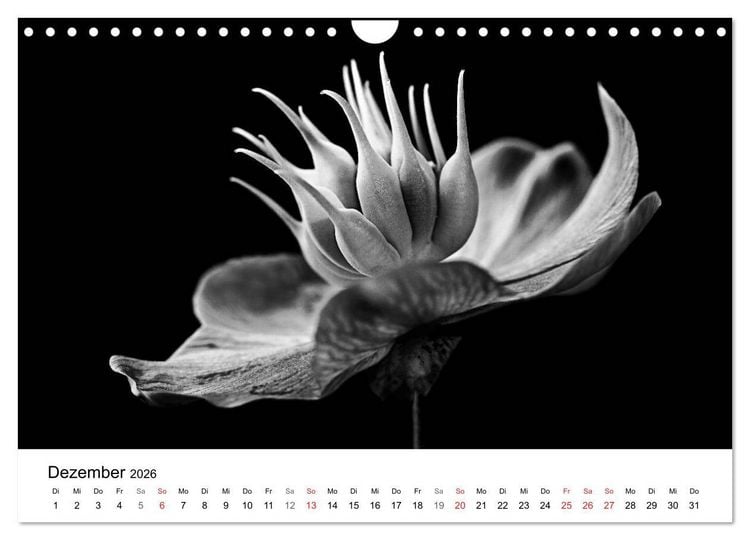 Produktbild: Blumen 2026, Schwarz-Wei&szlig; (Wandkalender 2026 DIN A4 quer), CALVENDO Monatskalender