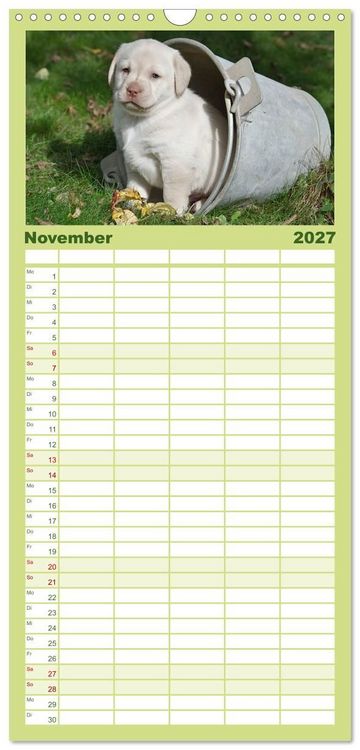 Produktbild: Familienplaner 2027 - Labrador Welpen mit 5 Spalten (Wandkalender, 21 x 45 cm) CALVENDO
