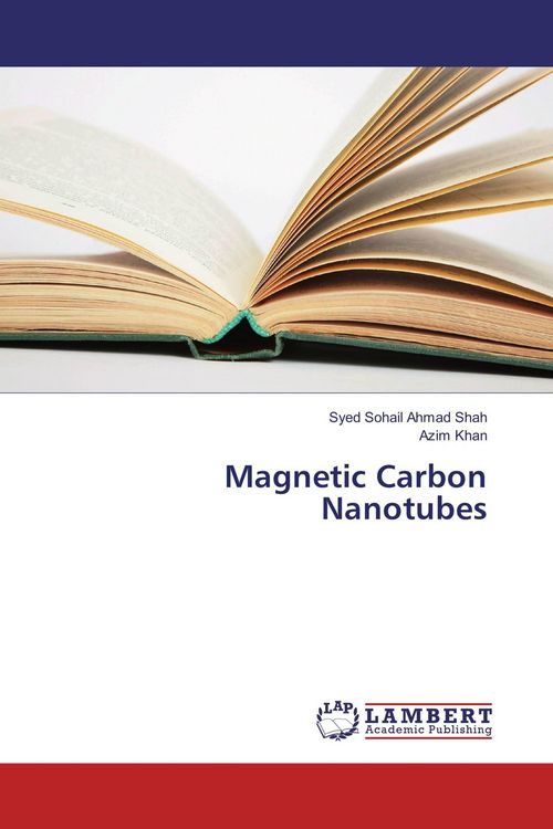 Produktbild: Magnetic Carbon Nanotubes