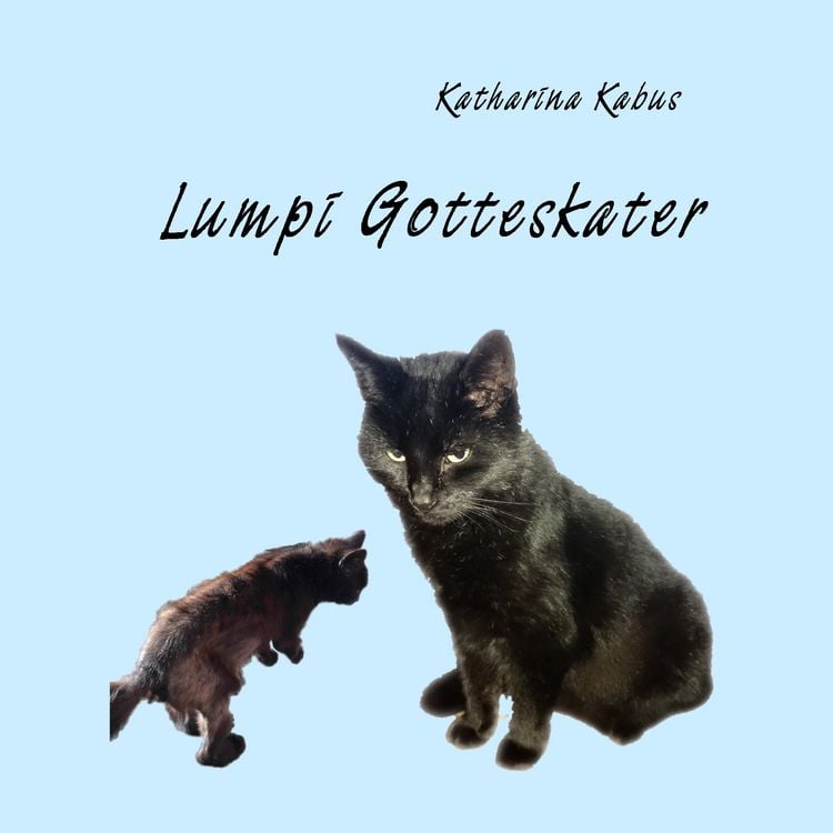 Produktbild: Lumpi Gotteskater