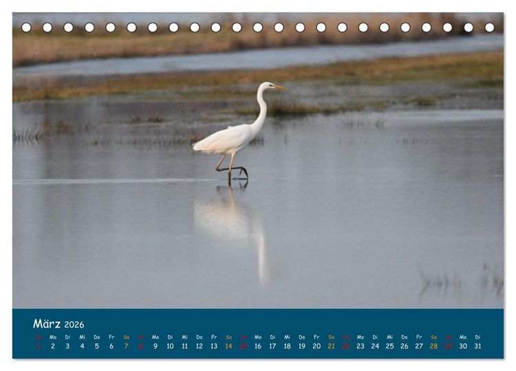Produktbild: Naturschutzgebiet W&uuml;mme (Tischkalender 2026 DIN A5 quer), CALVENDO Monatskalender