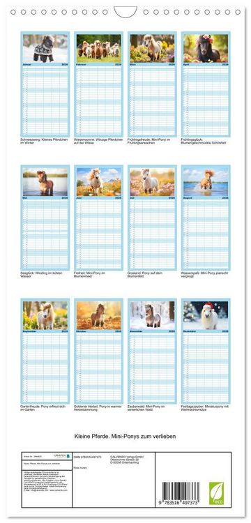 Produktbild: Familienplaner 2026 - Kleine Pferde. Mini-Ponys zum verlieben mit 5 Spalten (Wandkalender, 21 x 45 cm) CALVENDO