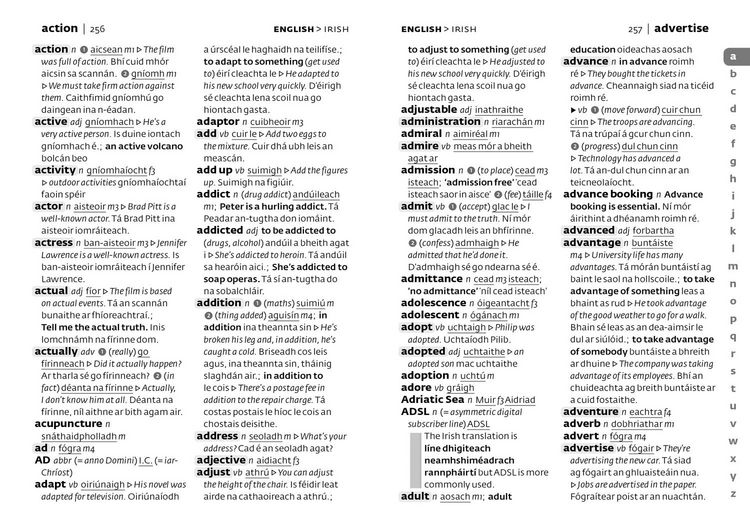 Produktbild: Irish School Dictionary