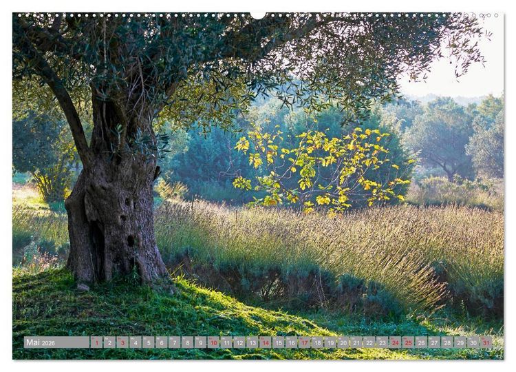 Produktbild: ISTRIEN (hochwertiger Premium Wandkalender 2026 DIN A2 quer), Kunstdruck in Hochglanz