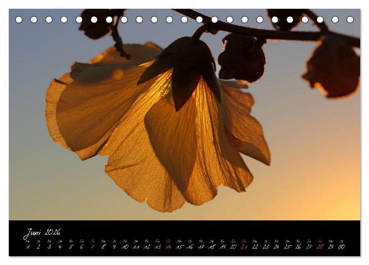 Produktbild: Zeit der Natur - Ein Augenblick zur Ewigkeit (Tischkalender 2026 DIN A5 quer), CALVENDO Monatskalender