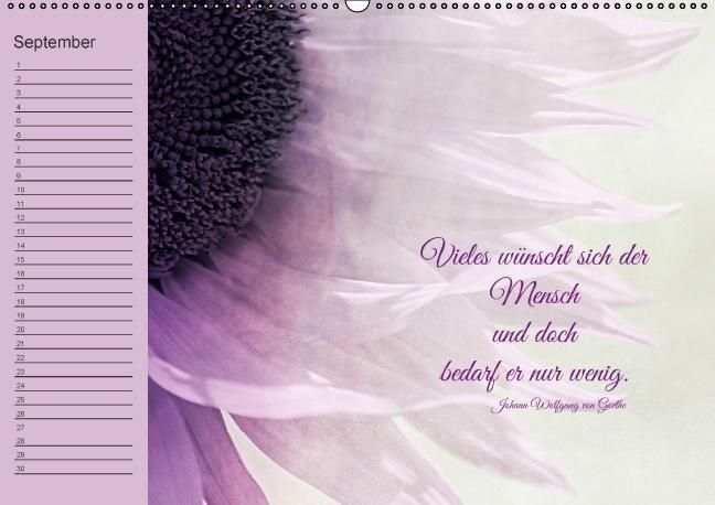 Produktbild: Spruchreifer Geburtstagskalender (Wandkalender immerw&auml;hrend DIN A2 quer)